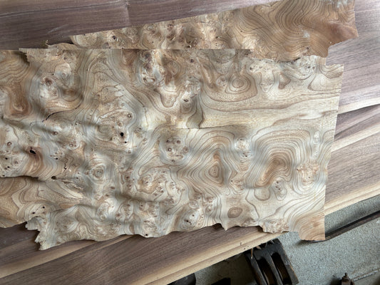 Carpathian Elm burl Wood Veneer - 1950's