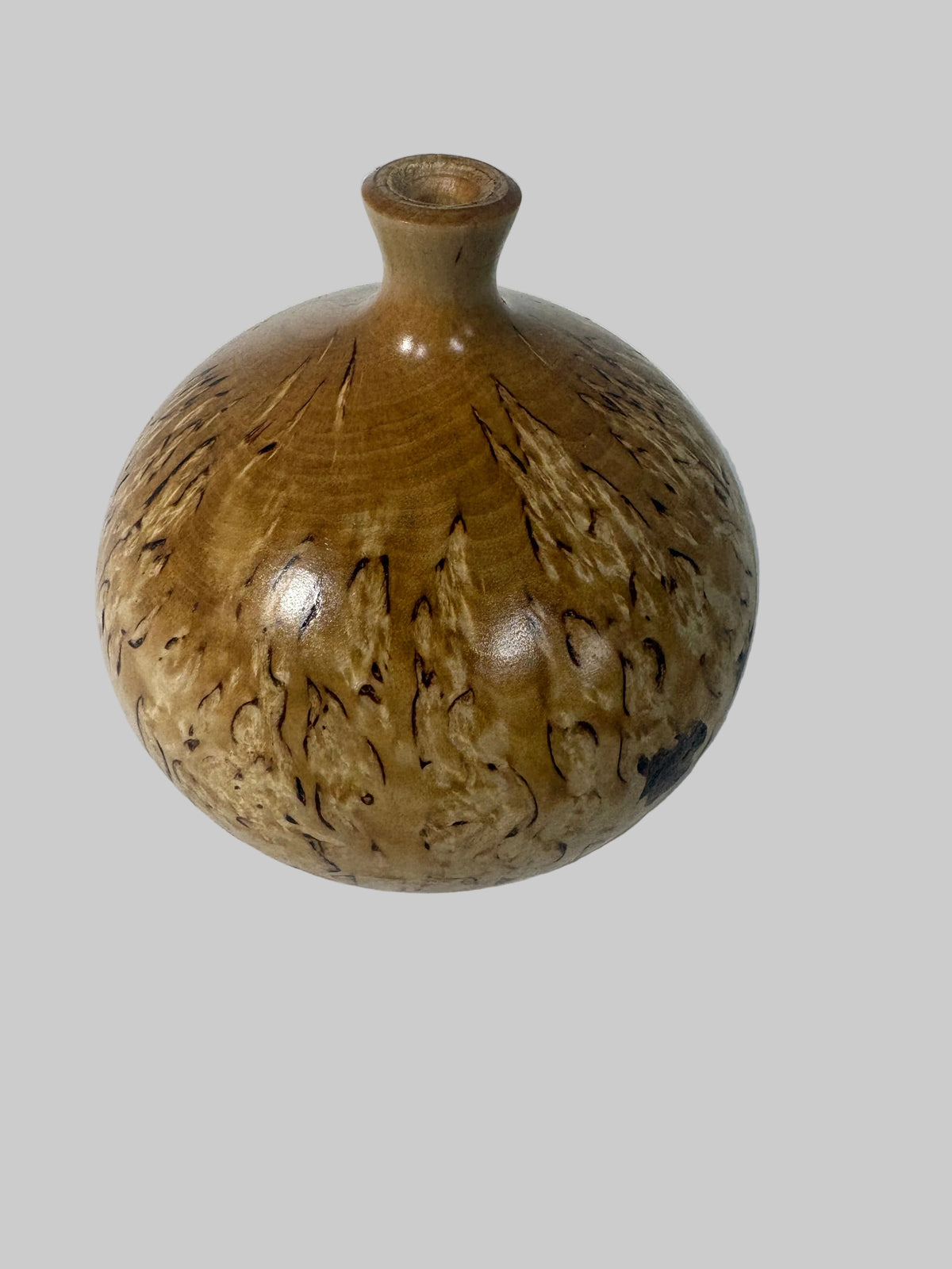Masur Birch Twig Pot