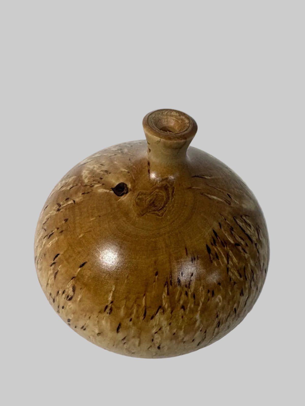 Masur Birch Twig Pot